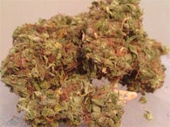 User uploaded image of Aloha