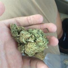 User uploaded image of Aloha