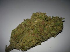 User uploaded image of Aloha