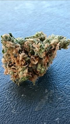 User uploaded image of Aloha