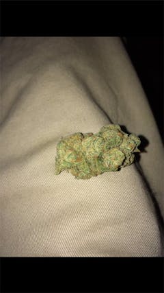 User uploaded image of Alohaberry