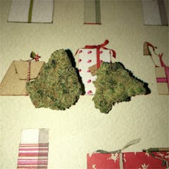 User uploaded image of Alpha Blue