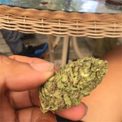 User uploaded image of Alpha Blue