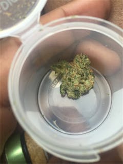 User uploaded image of Alpha Blue