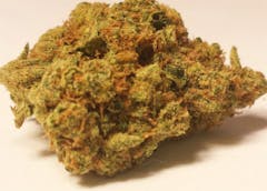 User uploaded image of Alpha OG