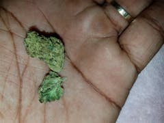 User uploaded image of Alpha OG