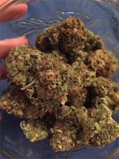 User uploaded image of Alpha OG