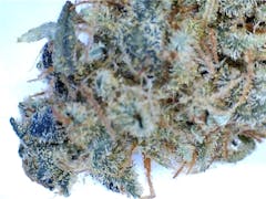 User uploaded image of Alpine Blue