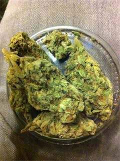 User uploaded image of Ambrosia