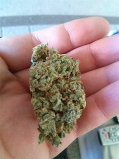 User uploaded image of Ambrosia