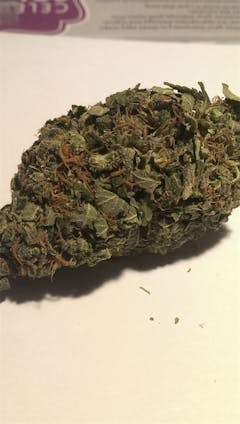 User uploaded image of Ambrosia