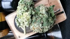 User uploaded image of Ambrosia