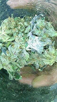 User uploaded image of American Dream