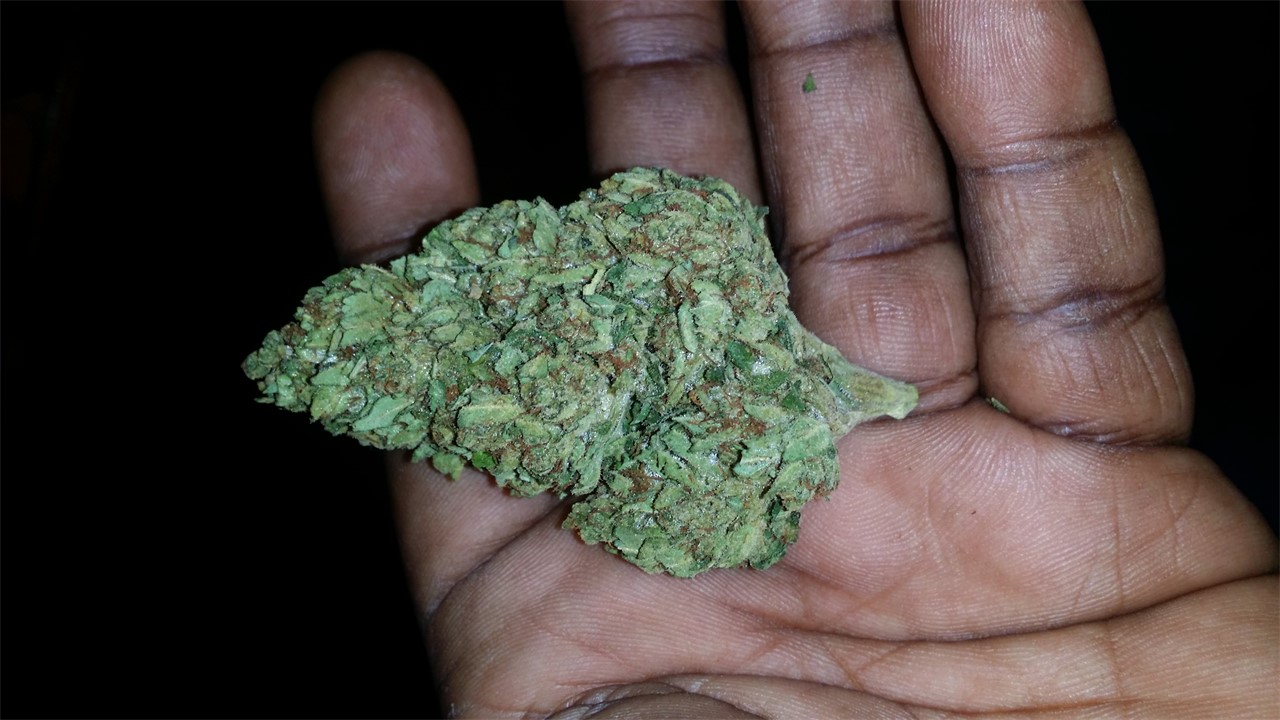 American Dream Weed Strain Information | Leafly