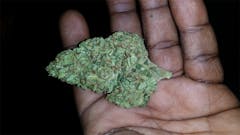 User uploaded image of American Dream