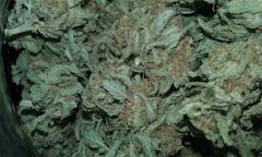 User uploaded image of American Dream