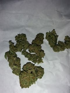 User uploaded image of American Kush
