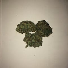 User uploaded image of American Kush
