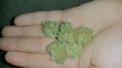 User uploaded image of Amethyst Bud