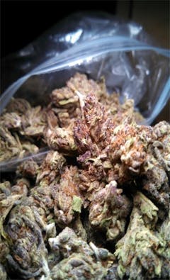 User uploaded image of Amethyst Bud
