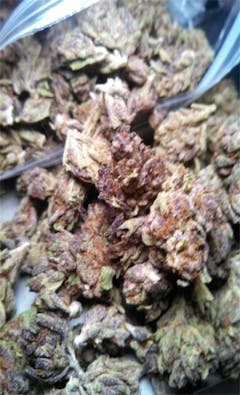 User uploaded image of Amethyst Bud
