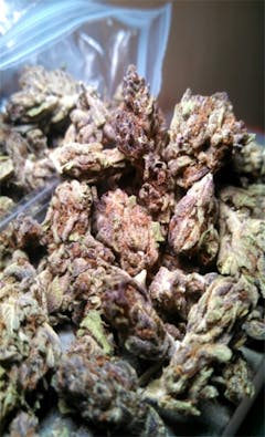 User uploaded image of Amethyst Bud