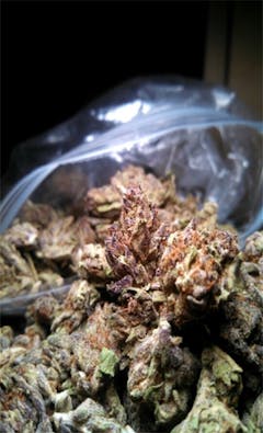 User uploaded image of Amethyst Bud