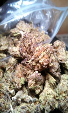 User uploaded image of Amethyst Bud