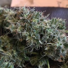 User uploaded image of Amnesia Haze