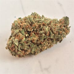 User uploaded image of Amnesia Haze