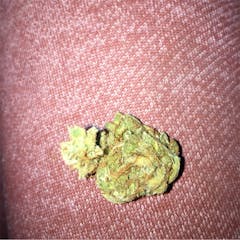 User uploaded image of Amnesia Haze
