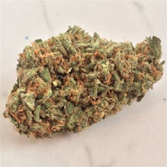 User uploaded image of Amnesia Haze