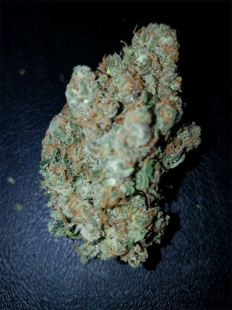 Amnesia haze описание