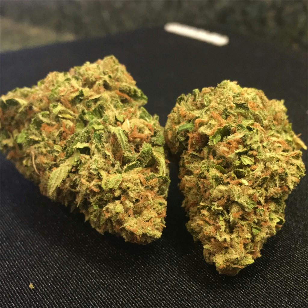 Photos of Amnesia Haze Weed Strain Buds | Leafly