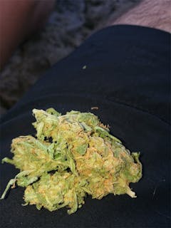 User uploaded image of Amnesia