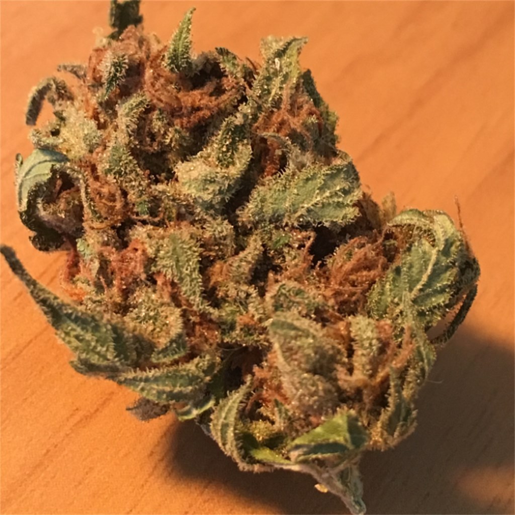 larry amnesia strain information