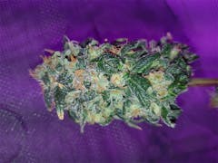 User uploaded image of Amnesia