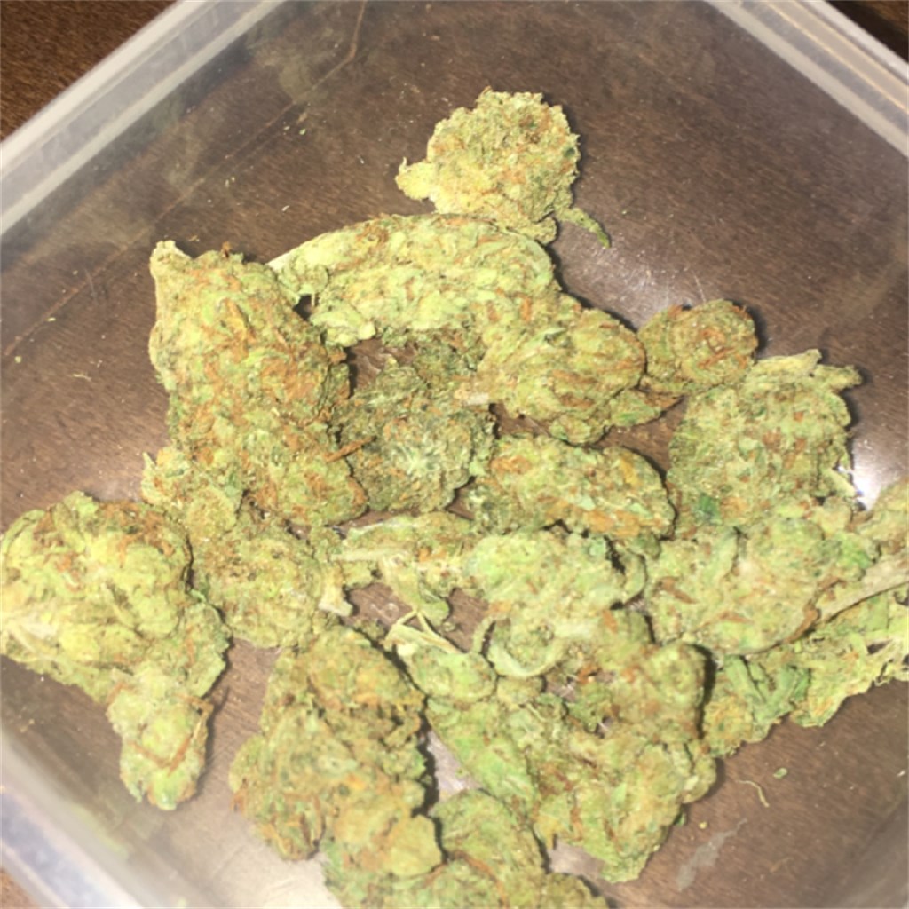amnesia strain of marijuana