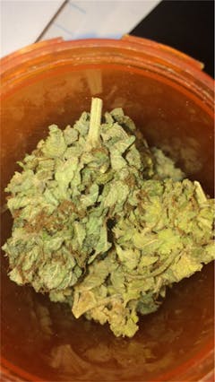 User uploaded image of Ancient OG