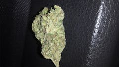 User uploaded image of Ancient OG
