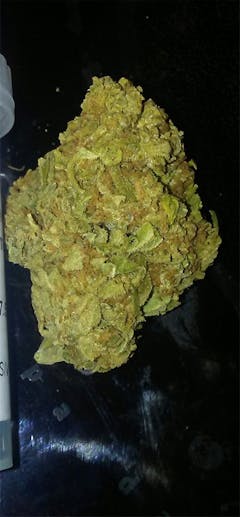 User uploaded image of Ancient OG