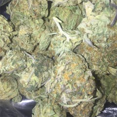 User uploaded image of Animal Cookies