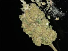 User uploaded image of Animal Cookies