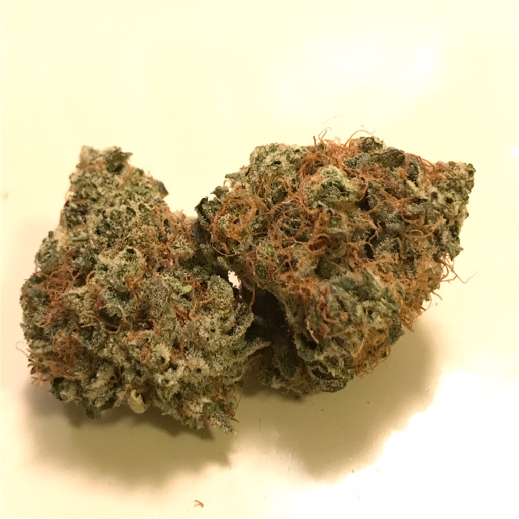 Animal Cookies Strain Information