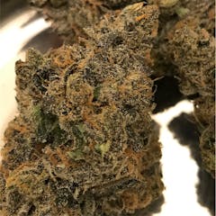 User uploaded image of Animal Cookies