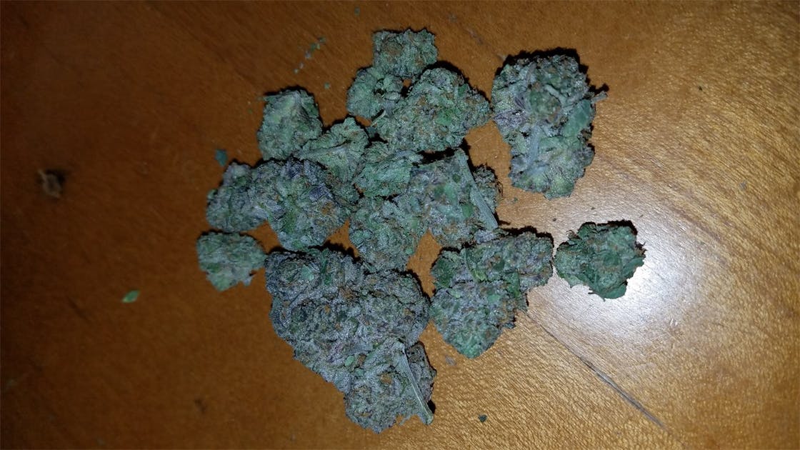 Photos of Animal Cookies Weed Strain Buds Leafly
