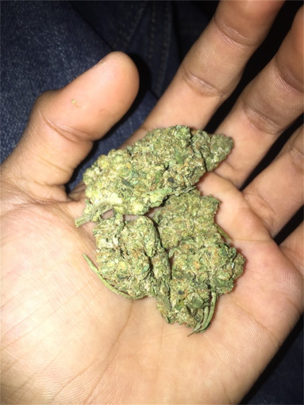 Photos of Animal Cookies Weed Strain Buds Leafly