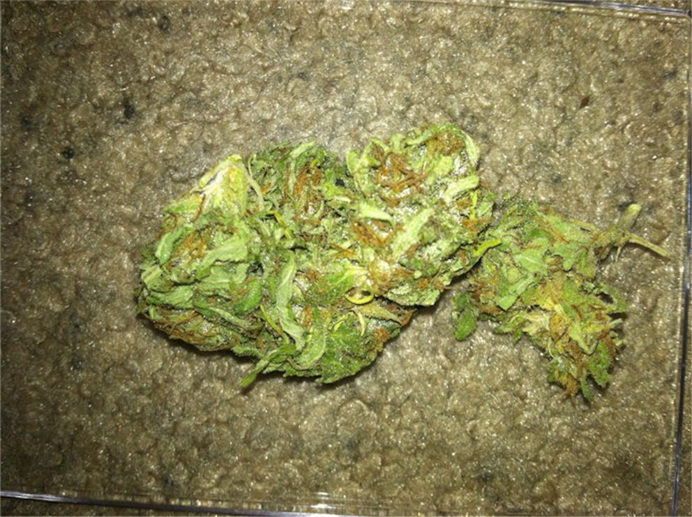 photos-of-apollo-11-weed-strain-buds-leafly