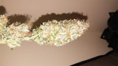 User uploaded image of Apollo 11