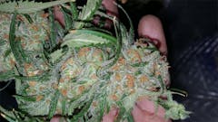 User uploaded image of Apollo 11